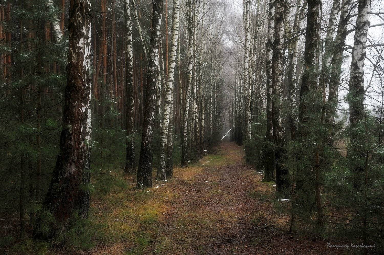 Автор: Володимир Карчевський , Володимир Карчевський