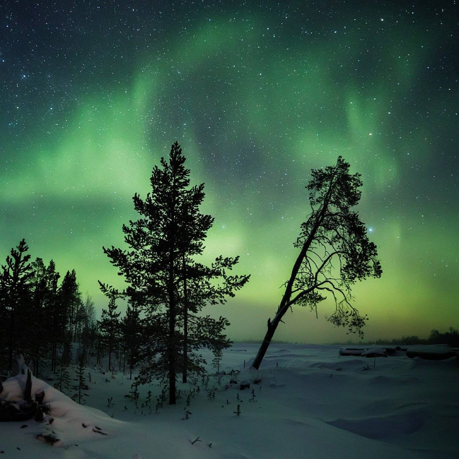 Уренгойские вечера. Автор: Коровин Кирилл , Коровин Кирилл