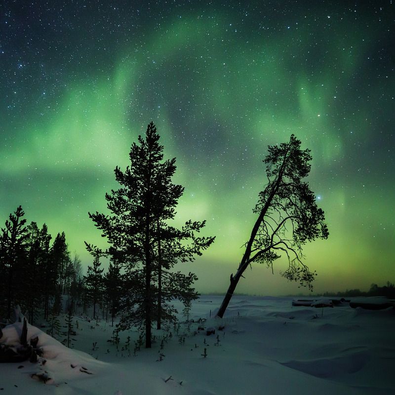 Уренгойские вечераphoto preview