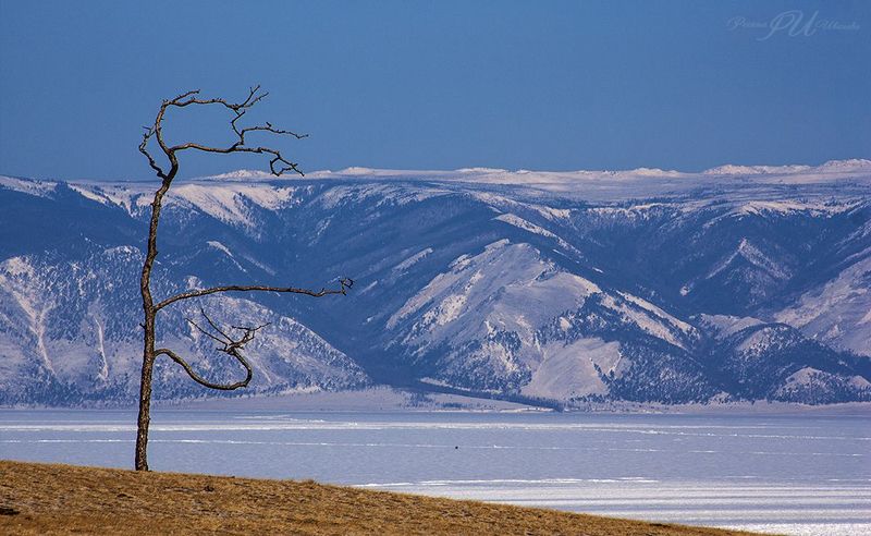 Танцующая. Остров Ольхон. Байкал. Залив Малое море.photo preview