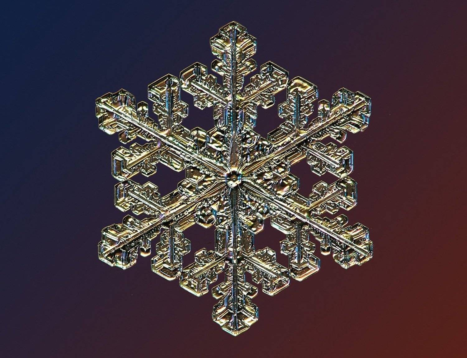 снежинка, Валерия Зверева