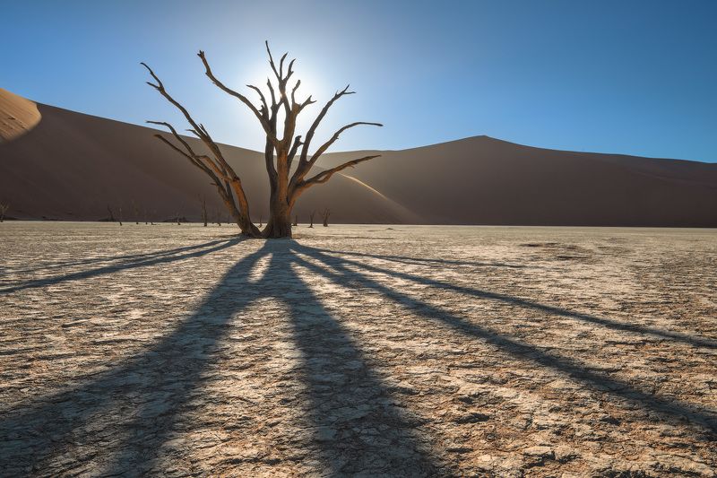 Часовой мертвой долиныphoto preview