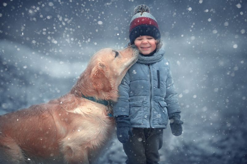 Лучший другphoto preview