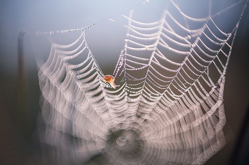 Ювелирphoto preview