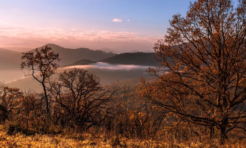 Осень и тихое утро...photo preview