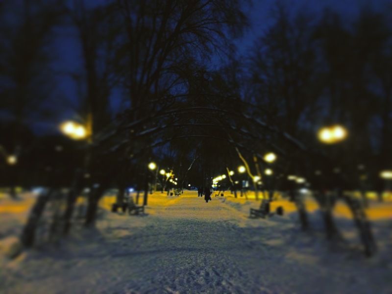 Порталphoto preview