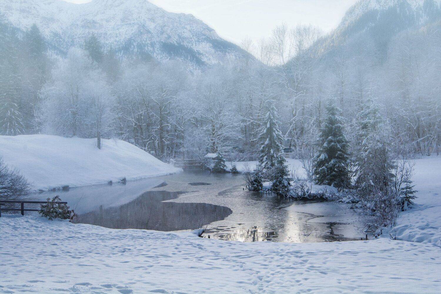 ***. Автор: Юрий Пужалин , Юрий Пужалин