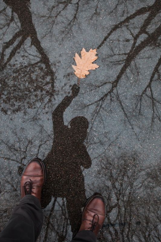 Ты неси меня листок в заснеженный декабрьphoto preview