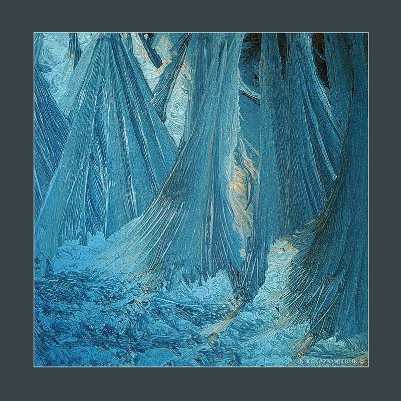 без, категории, природа, север, музыка лес. 2017photo preview