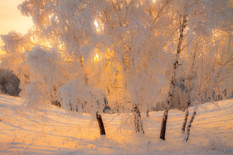 Декабрьphoto preview