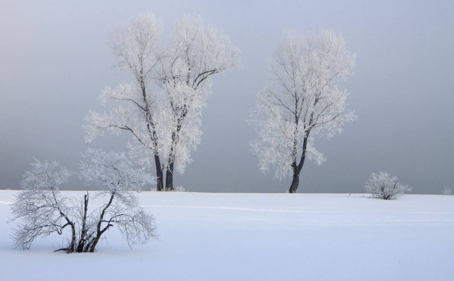 Вновь зима расстелила снега. Автор: Галина Хвостенко сибирь, новокузнецк, томь, зима, снег, Галина Хвостенко