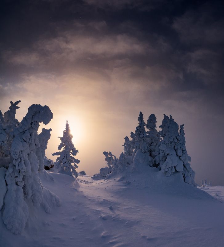 В новый деньphoto preview