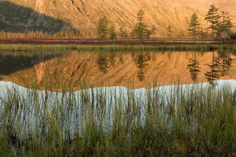 озеро, рассвет, тишина, отражение, деревья, трава, утро, горы, колыма, дальний восток, антон селезнев, осень Утренний взгляд в зеркалоphoto preview
