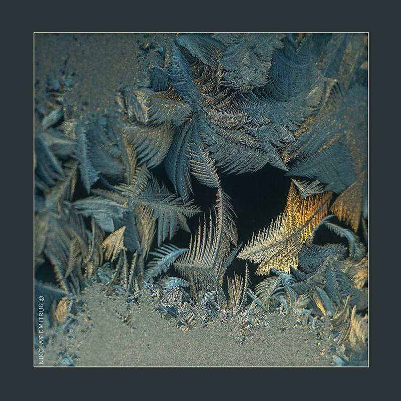 природа, музыка, зима птицелов. зима. 2017photo preview