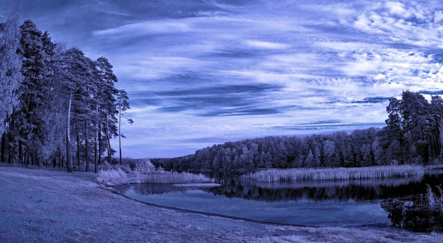 infrared,ик-фото,инфракрасное фото,инфракрасная фотография,пейзаж,природа,беларусь,осень, Sixten ( Сергей )