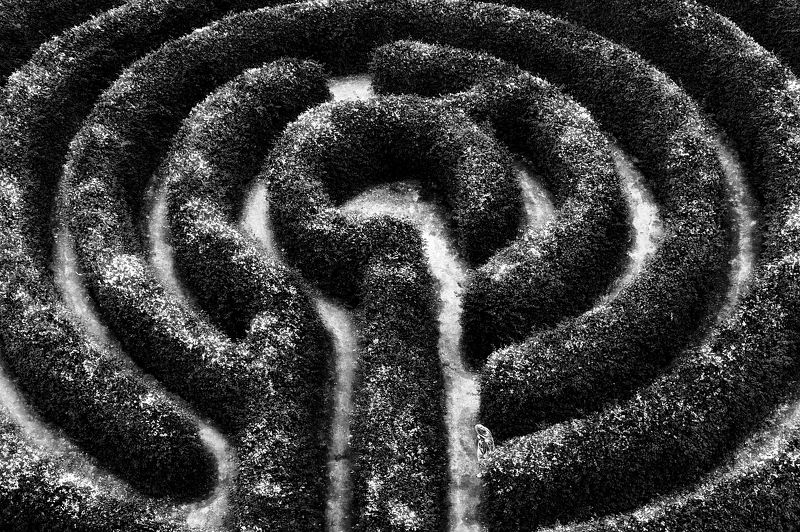 In the mazephoto preview