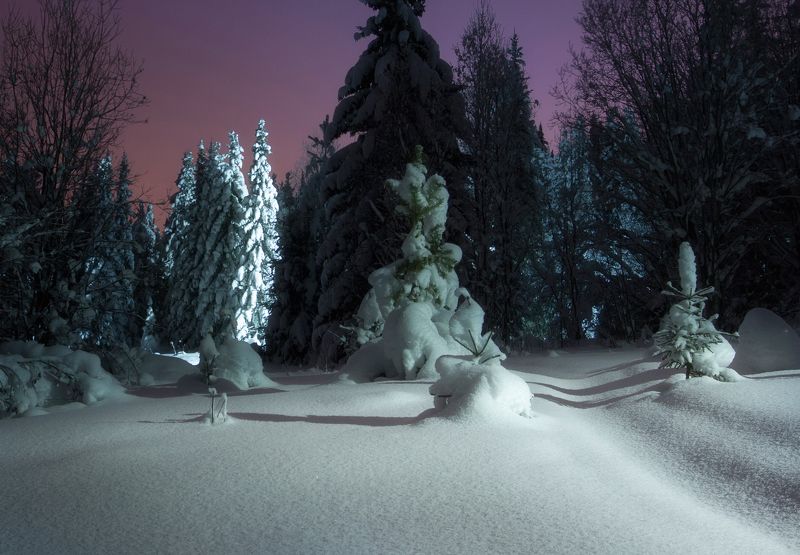 Вечером на лыжне.photo preview