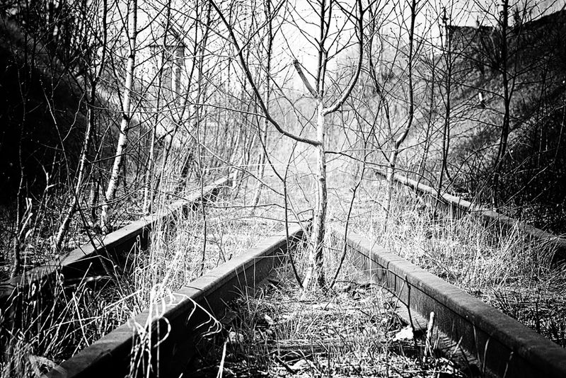 ДОРОГАphoto preview