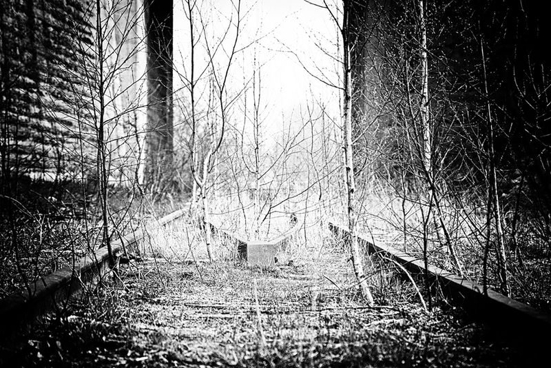 СВЕТphoto preview