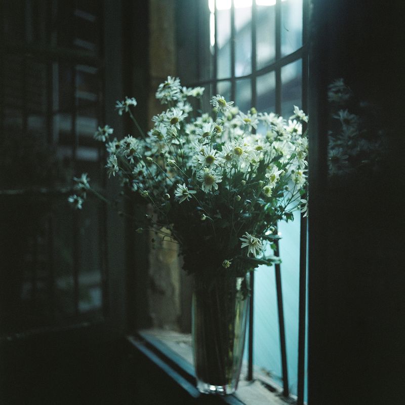 #pro160ns #mediumformat #6x6 #sp3000 windowphoto preview