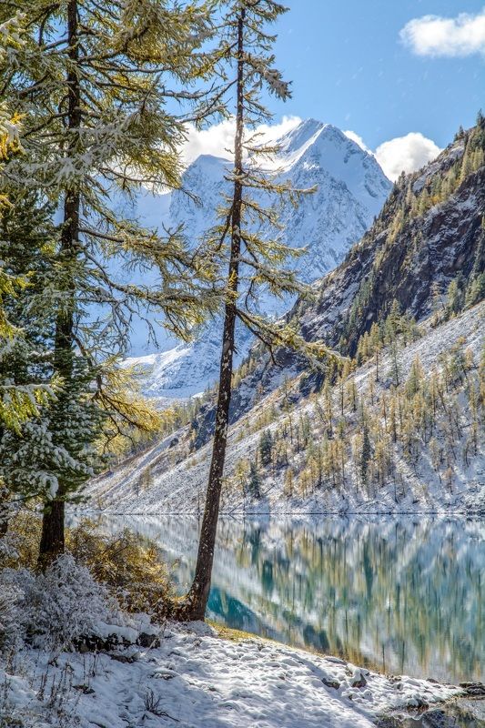 алтай,осень на берегуphoto preview