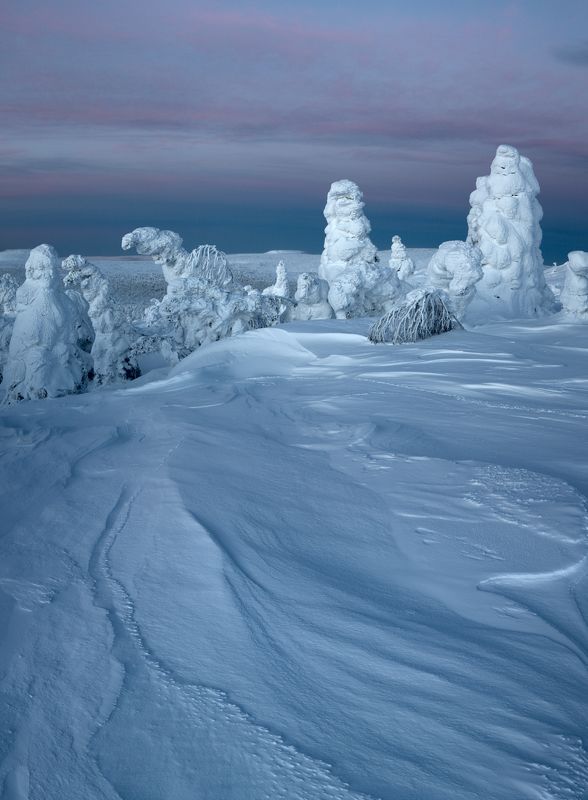 зима, снег, деревья, утро, рассвет, фактура, заструги, фигуры, монстры, урал, горы, антон селезнев Музей снежных фигурphoto preview