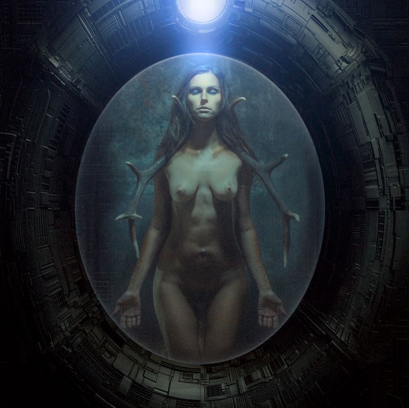 stalker, zerg, scifi, space capsulephoto preview