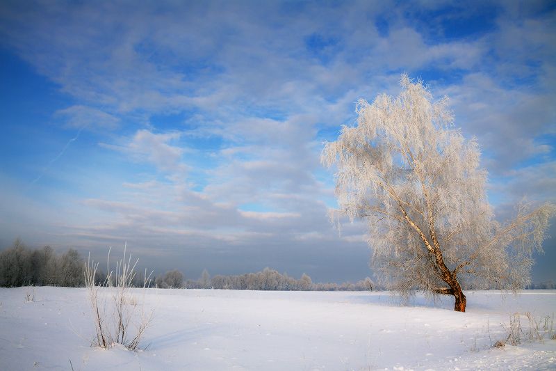Во поле берёза стояла...photo preview