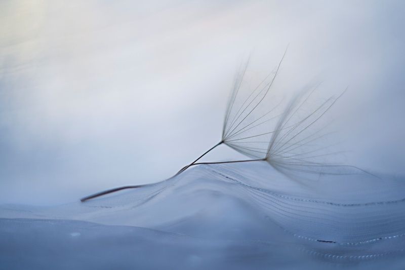 zakochaniphoto preview