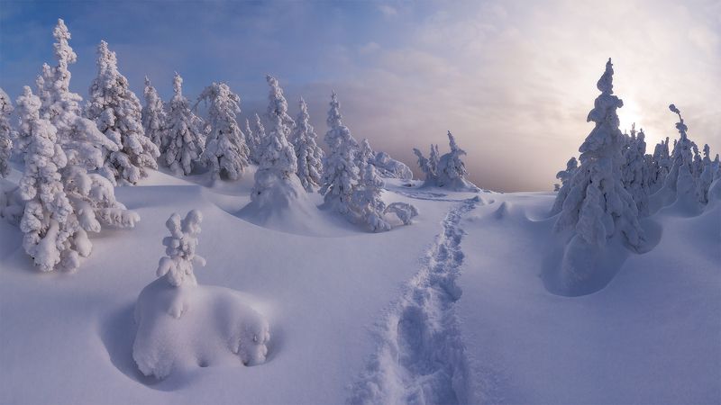 Уже в путиphoto preview