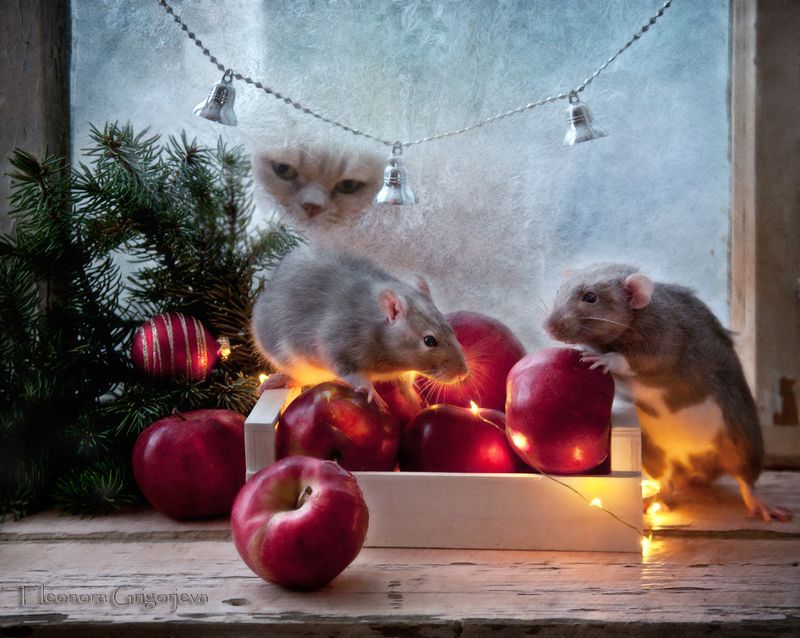 С Новым годом!photo preview