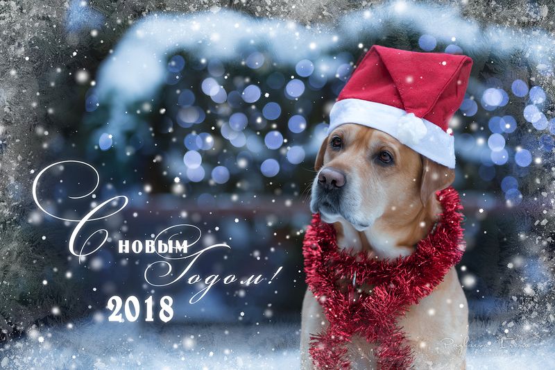 С Новым годом!photo preview