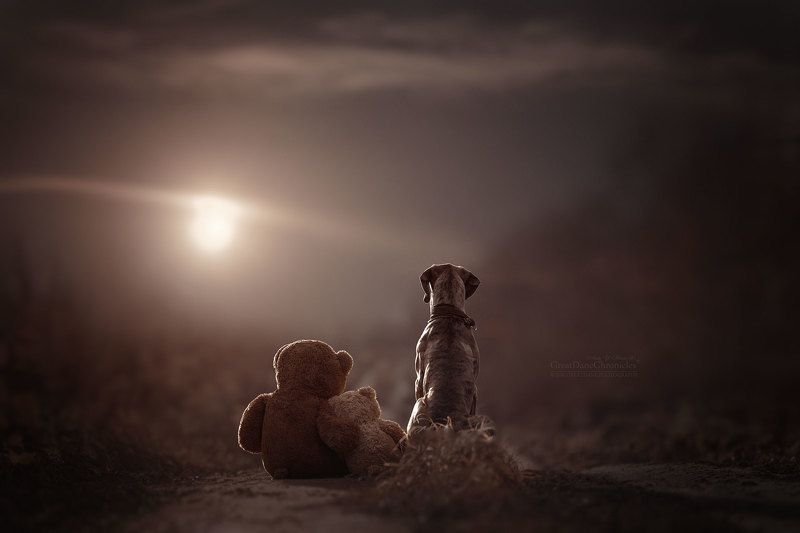 Happy New 2018 Year! (Year of the Dog)photo preview