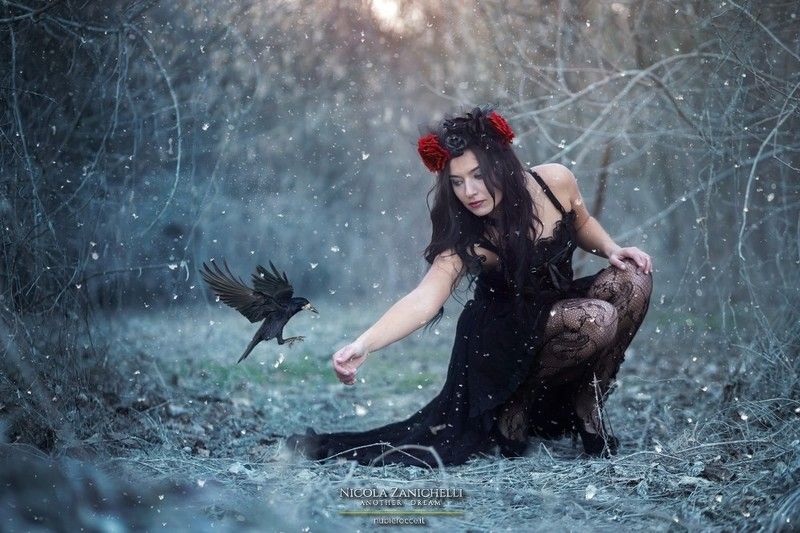 Portfoliophoto preview