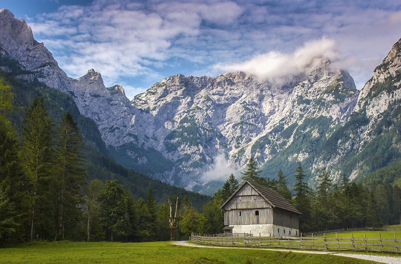 BrankoCphoto preview