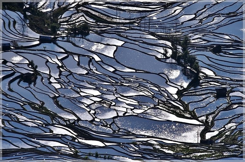 Twinklephoto preview