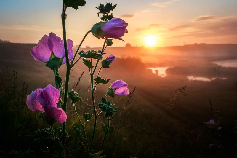 Портфолиоphoto preview