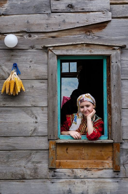 Amaryllisphoto preview