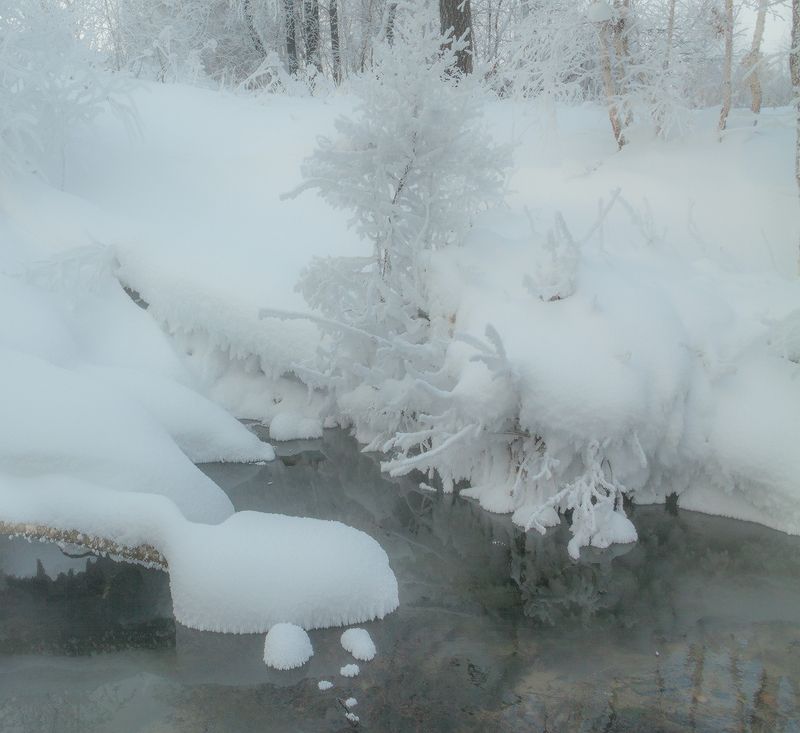 Январьphoto preview