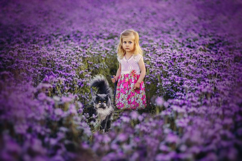 Семейныеphoto preview