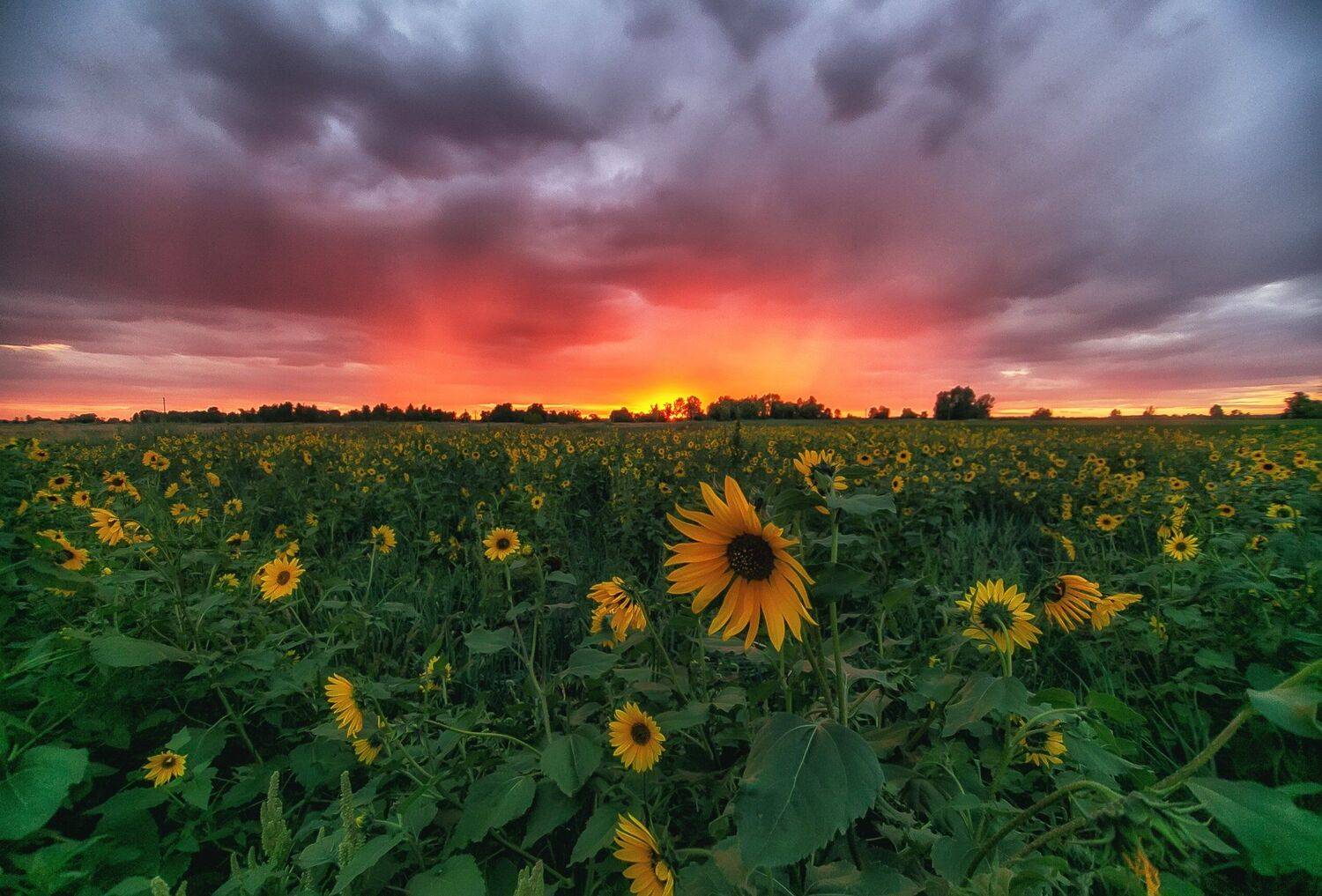 Тёплый и тихий вечер . Автор: Павел Сагайдак , Павел Сагайдак