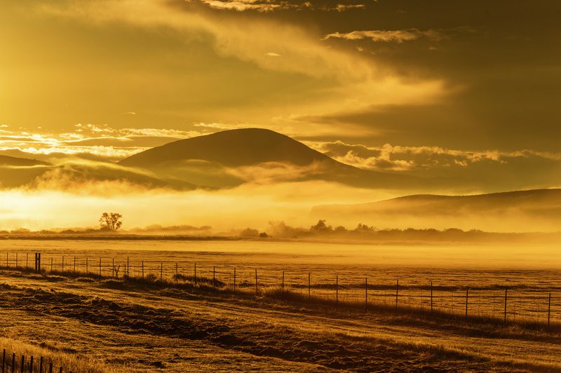 Misty morningphoto preview