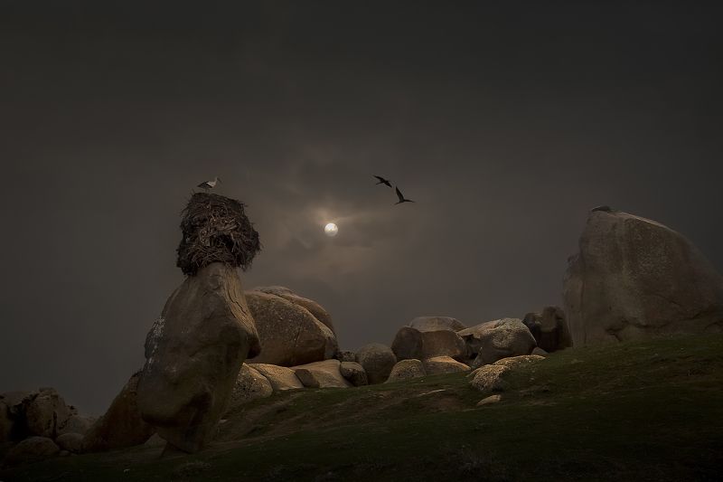 minimalphoto preview