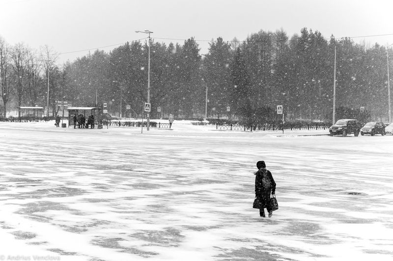Снегопадphoto preview