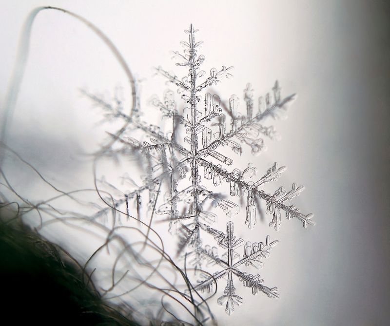 Magic Worldphoto preview