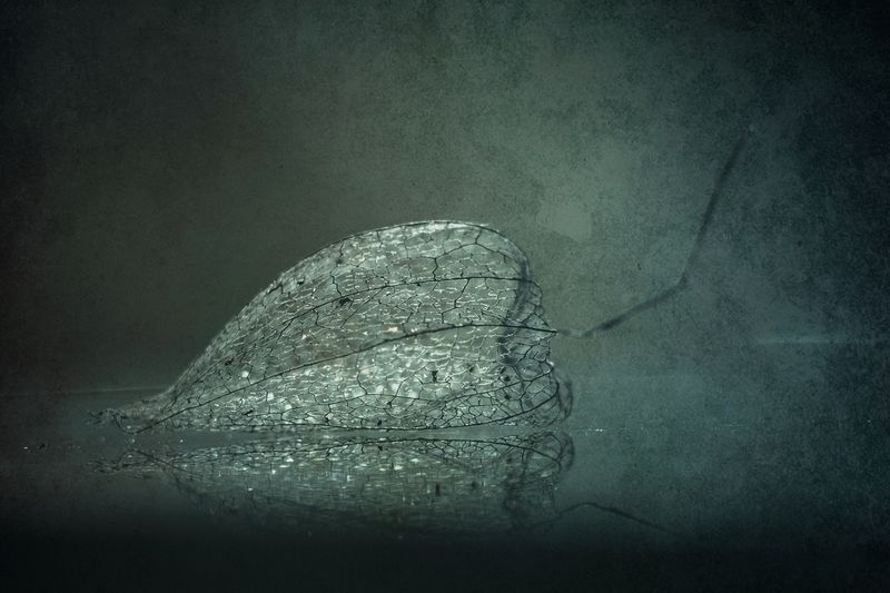 dotyk światłaphoto preview