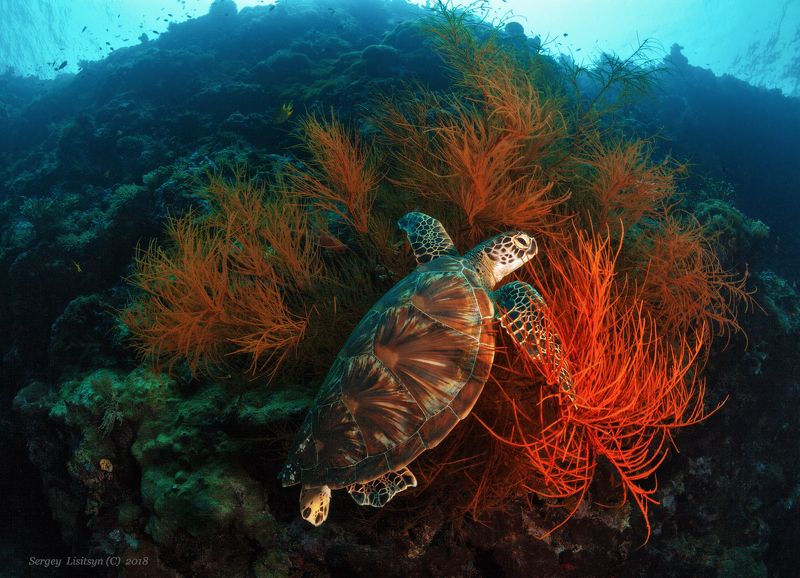 Quiet time.photo preview