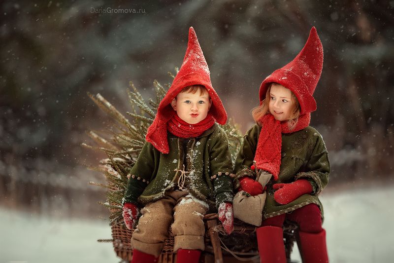 Гномыphoto preview