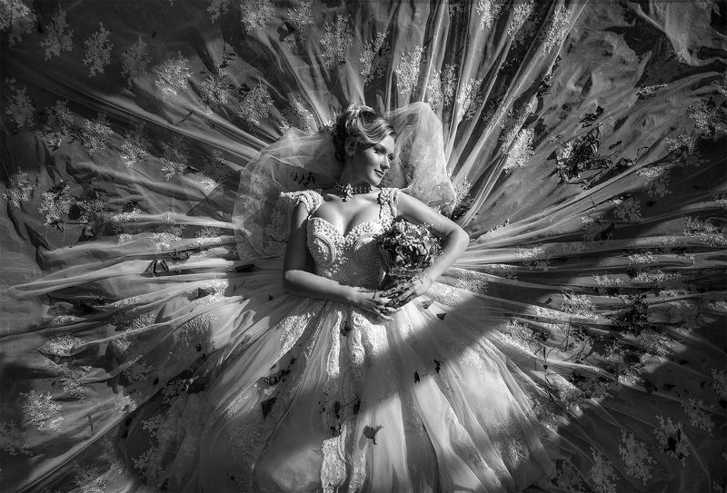 Aureliaphoto preview