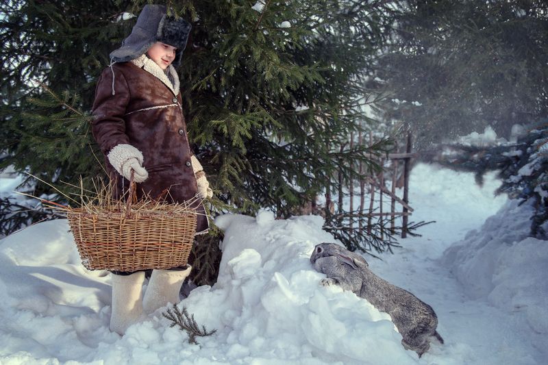 Зима, мальчик, прогулка, снег, лес, сугробы, дрова, санки Зимняя прогулкаphoto preview